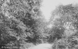 Milber Woods 1896, Newton Abbot