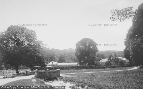 Photo of Newton Abbot, Near Bradley Woods 1890