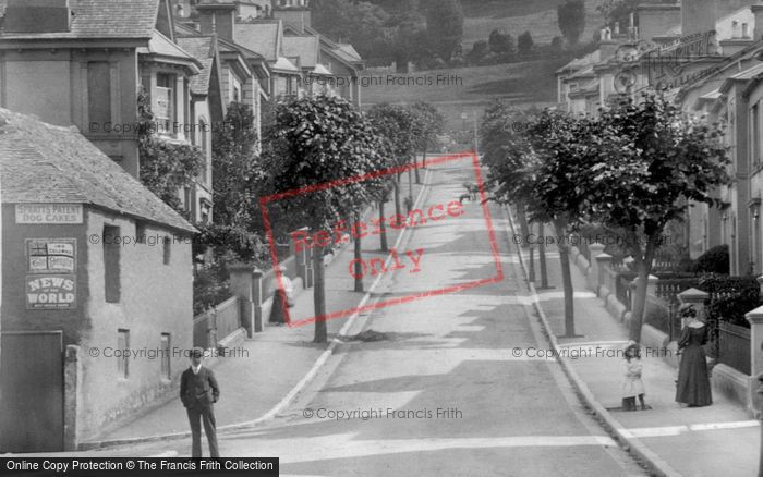 Photo of Newton Abbot, Powderham Road 1907