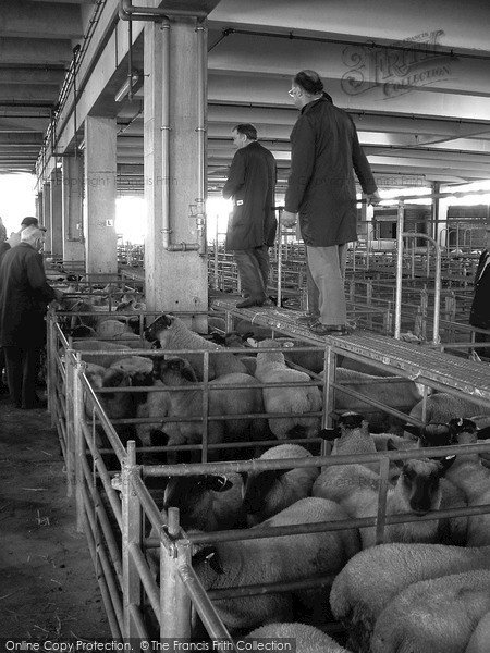 Photo of Newton Abbot, The Livestock Market 2004