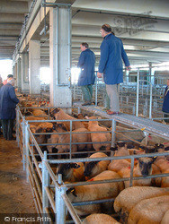 The Livestock Market 2004, Newton Abbot