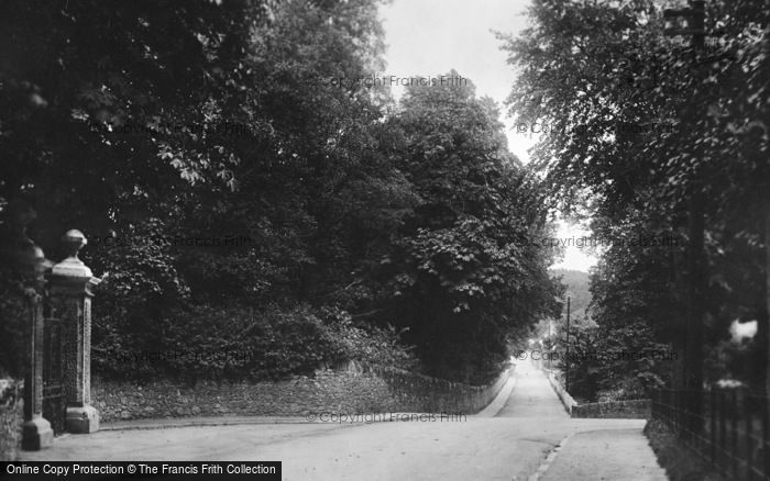 Photo of Newton Abbot, Torquay Road 1896