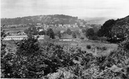 View From Milber Down 1922, Newton Abbot