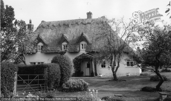 Photo of Newton Green, The Burchetts c.1960