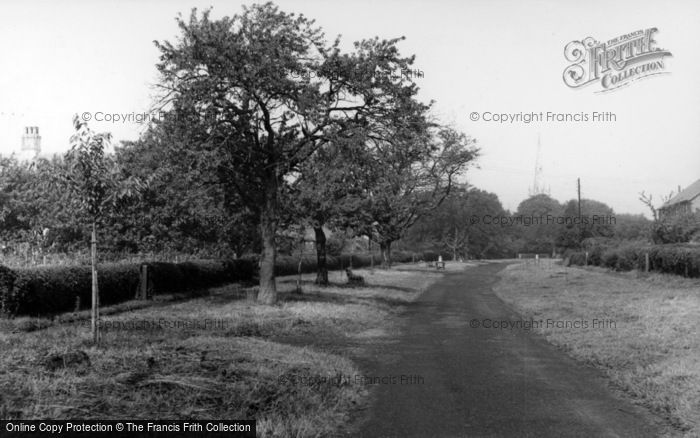 Photo of Newton On Ouse, Cherry Avenue c.1955