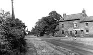 Newton On Ouse, The Green c.1955, Newton-on-Ouse