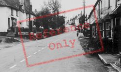 Main Street c.1950, Newton Poppleford
