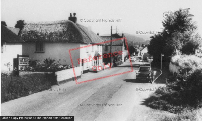 Photo of Newton Poppleford, The Village c.1965