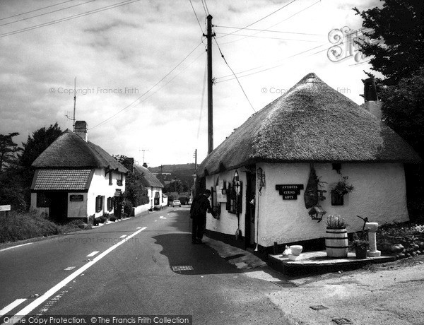 Photo of Newton Poppleford, The Village c.1965