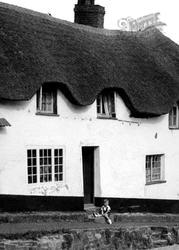 Thatched Cottagec.1955, Newton St Cyres