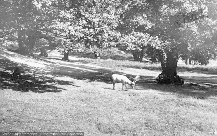 Photo of Newtown Linford, Bradgate Park c.1960