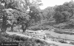 Little Matlock, Bradgate Park c.1960, Newtown Linford