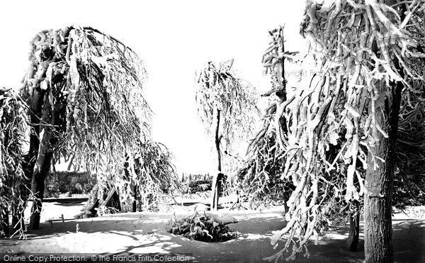 Niagara, Luna Island, Ice Trees c1872 Photo of Niagara, Luna Island, Ice Trees c.1872