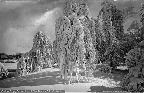 Niagara, Luna Island, Ice Trees c1872 Photo of Niagara, Luna Island, Ice Trees c.1872