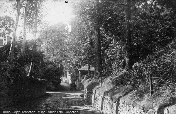 Photo of Niton, Barrack Hill c.1900