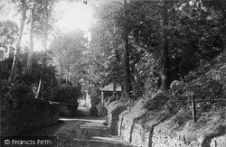 Barrack Hill c.1900, Niton