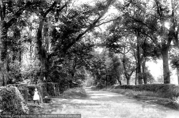 Photo of Noak Hill, Chequers Lane 1908