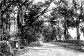 Chequers Lane 1908, Noak Hill
