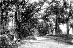 Noak Hill, Chequers Lane 1908