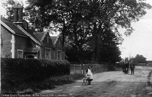 Photo of Noak Hill, The Lane To The Church 1908