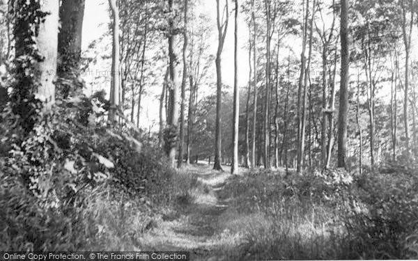 Photo of Nonington, Fredville Park c.1955