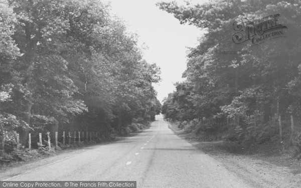 Photo of Norley, Delamere Forest c.1955