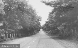 Delamere Forest c.1955, Norley