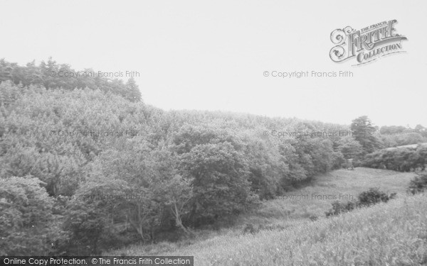 Photo of Norley, Delamere Forest c.1955