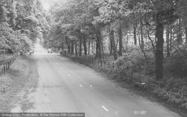 Photo of Norley, Delamere Forest c.1960