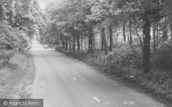 Delamere Forest c.1960, Norley