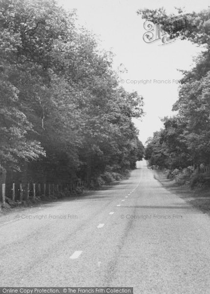 Photo of Norley, Delamere Forest Road c.1955