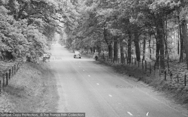Photo of Norley, Road In Delamere Forest c.1960