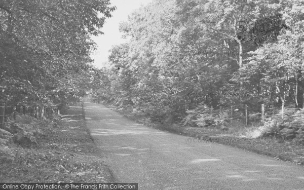 Photo of Norley, The Switchback, Delamere Forest c.1955
