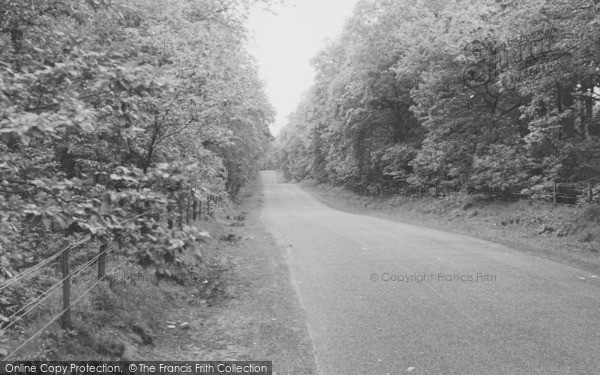 Photo of Norley, The Switchback, Delamere Forest c.1960
