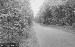 The Switchback, Delamere Forest c.1960, Norley