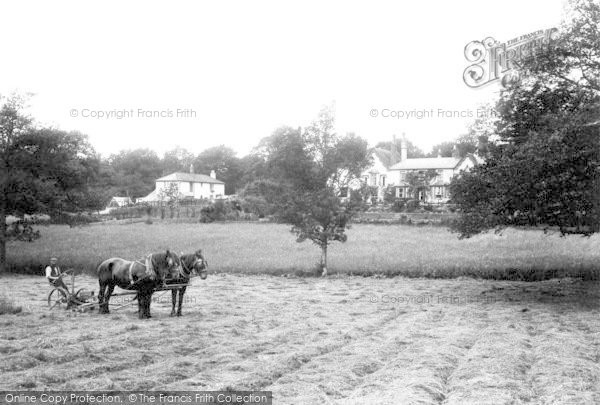 Photo of North Holmwood, Holmwood Park 1909
