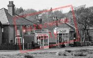 Shops Near The Pond c.1955, North Holmwood