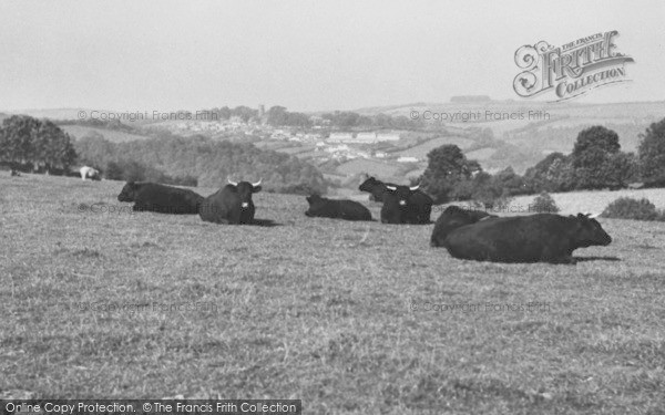 Photo of North Molton, General View c.1955