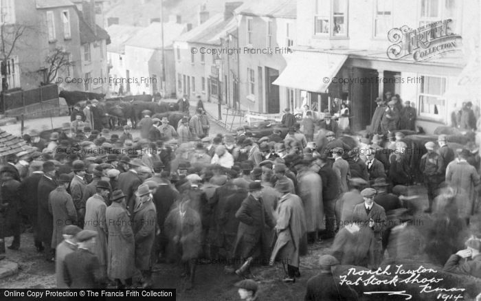 Photo of North Tawton, Fat Stock Show 1914