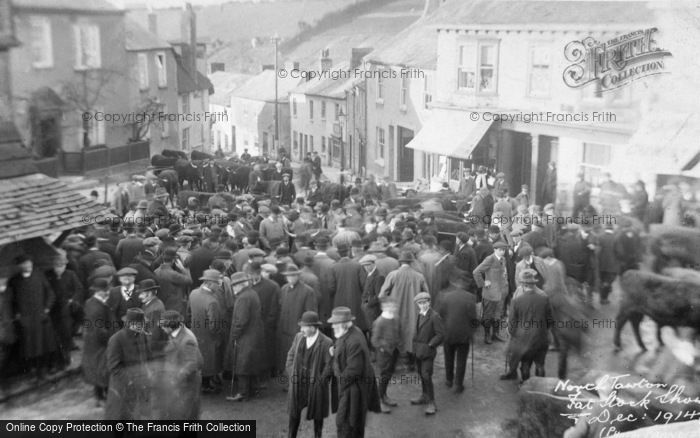 Photo of North Tawton, Fat Stock Show 1914