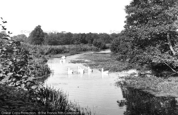 Photo of North Walsham, Old Canal From Bacton Wood Bridge c.1955