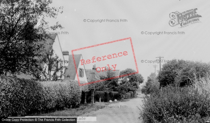 Photo of North Weald, Forest Glade c.1955