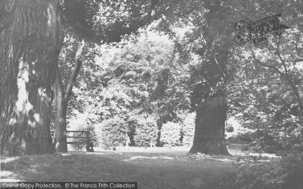 Photo of Northampton, Abington Park c.1955