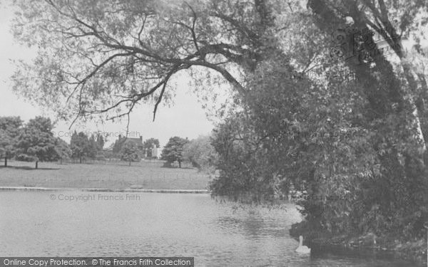 Photo of Northampton, Abington Park, The Lake c.1955