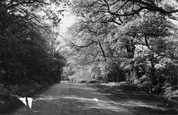 Porridge Pot Lane c.1955, Northwood Hills