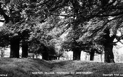 Footpath To Norton Bury c.1955, Norton