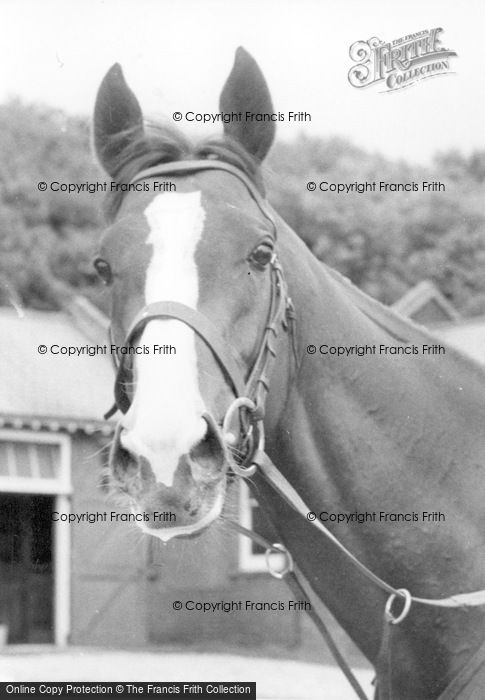 Photo of Norton, Horse's Head c.1960