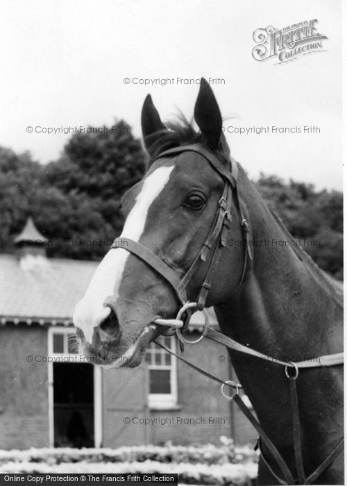 Photo of Norton, Horse's Head c.1960