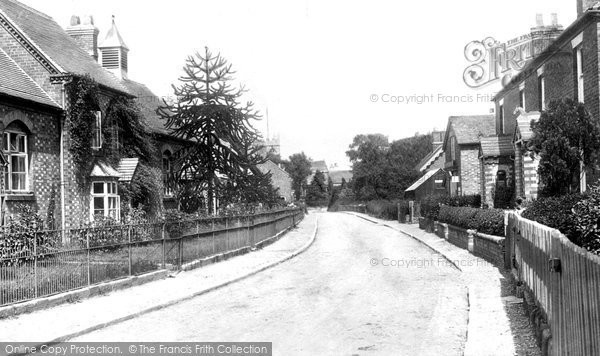 Photo of Norton In Hales, Village 1899