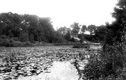 Brundall Gardens 1922, Norwich
